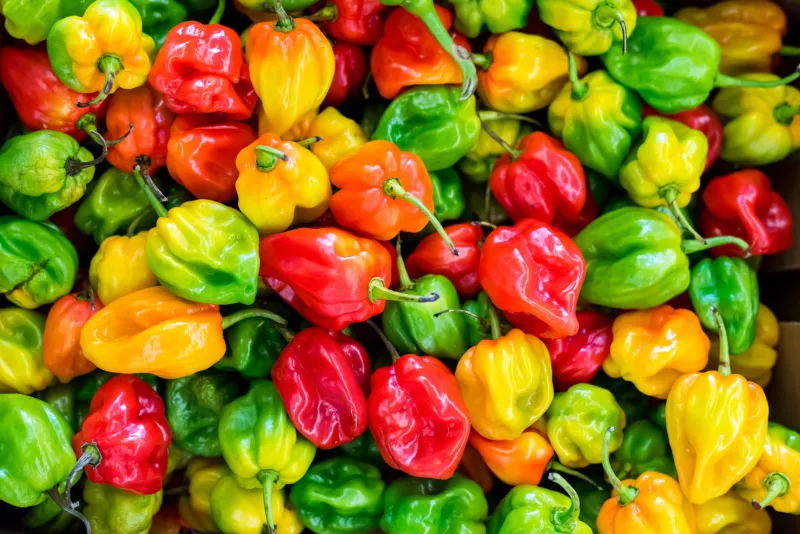 Follow the Pepper: A Deep Dive Into Where Your Favorite Hot Sauce Really Comes From